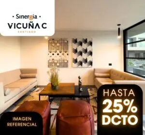 Vicuña C