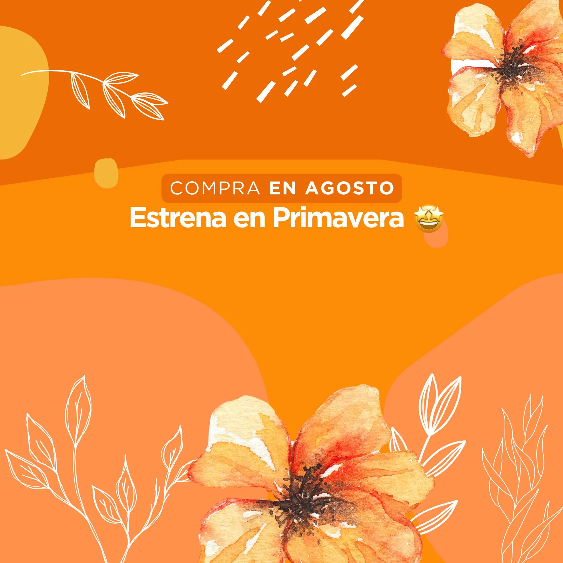 Inicio