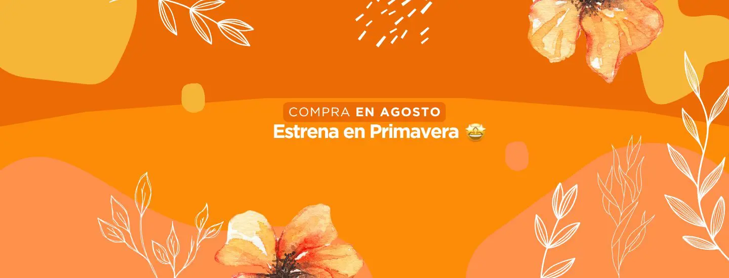 Inicio