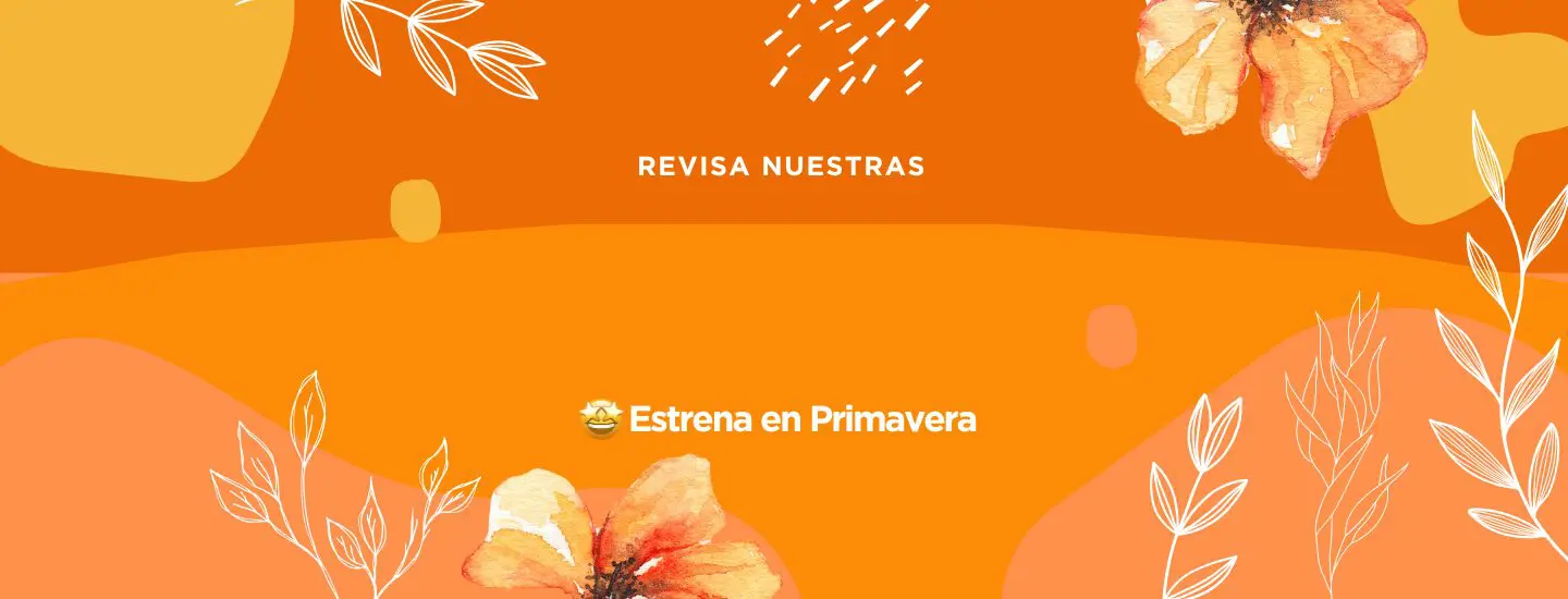 Inicio