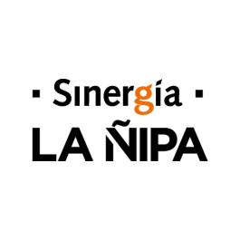 logo_proyecto_la_nipa